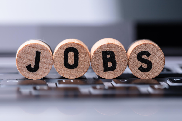 Neuf sites job sens carenews